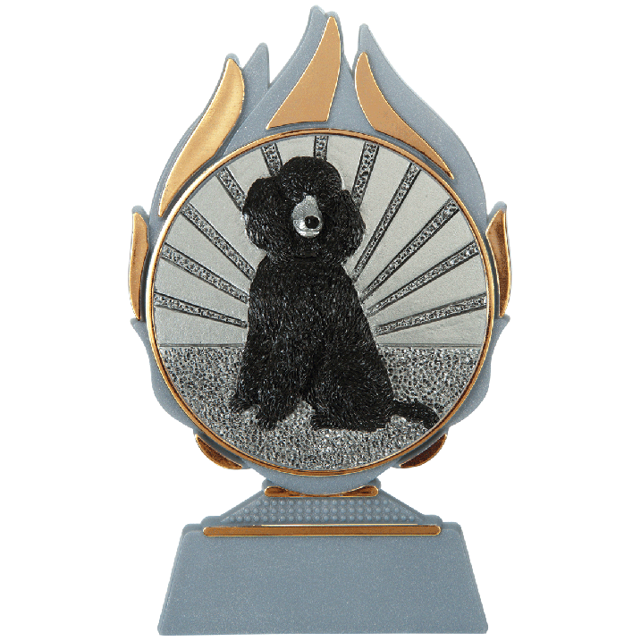 BTG.BTSS1037 BTG.BTSS1037