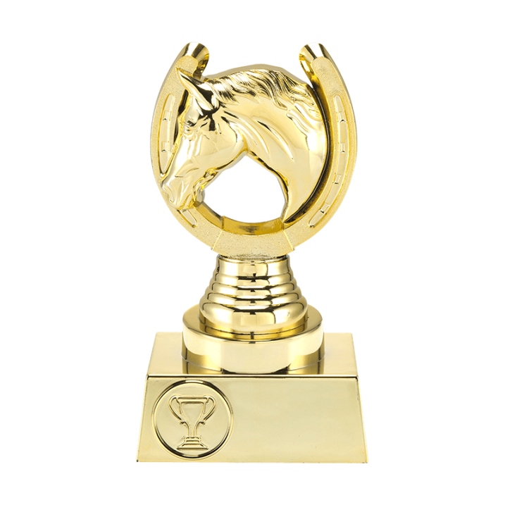 Trofee Liam paardensport