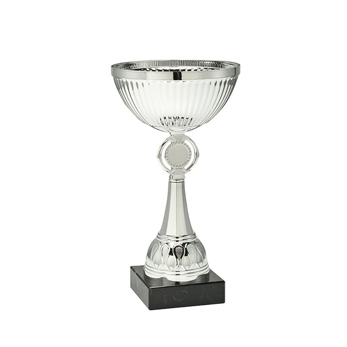 Traditionele zilveren trofee