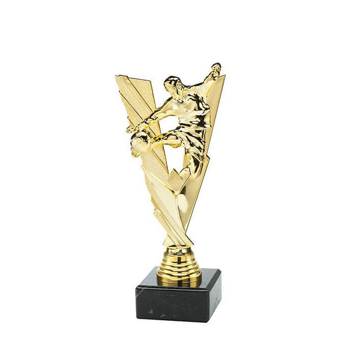 Trofee Vick voetbal