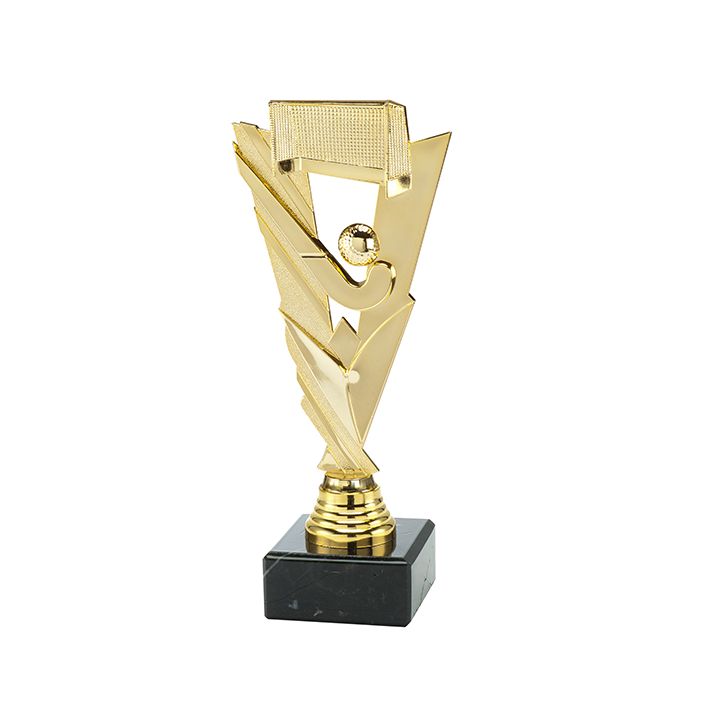 Trofee Vick hockey