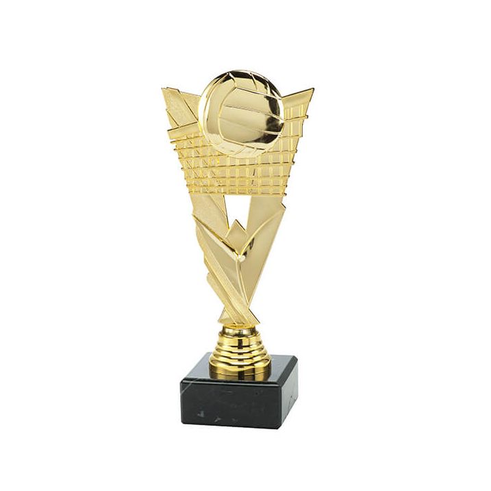 Trofee Vick volleybal Trofee Vick volleybal
