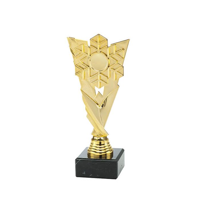 Trofee Vick winter Trofee Vick winter