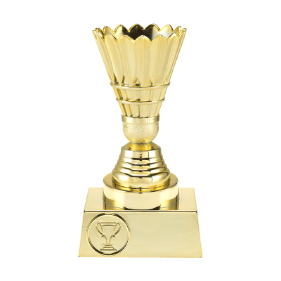 Trofee Liam badminton