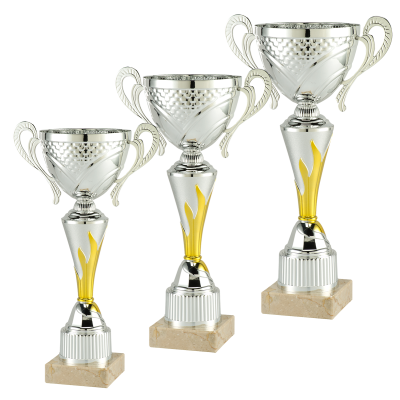 Sparpaket Pokalserie Frans mit drei Pokalen Silber / Gold − 26–45 cm