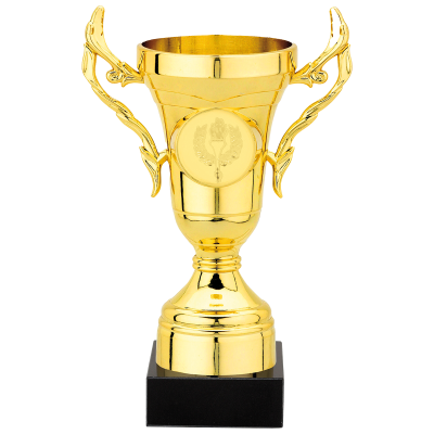 Kleiner Budget-Pokal in Gold 15,5 cm