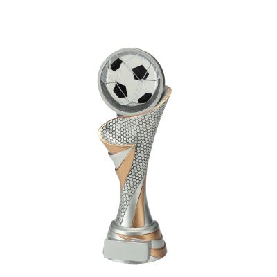 Fußball Pokal